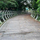 Seletar PCN