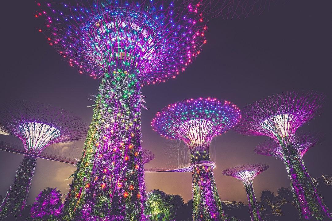 Singapore is Cyclist friendly country