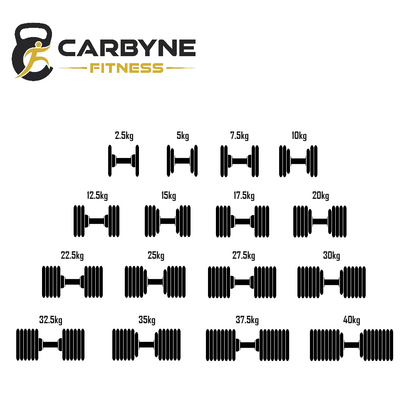 40KG Adjustable Dumbbell (2.5KG increments, heavier than the NUOBELL 236)