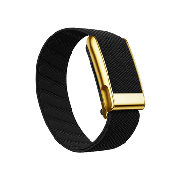WHOOP 5.0 and MG OEM SuperKnit Luxe replacement band in Black Gold – glossy stainless-steel ECG frame – Bikers.SG Singapore