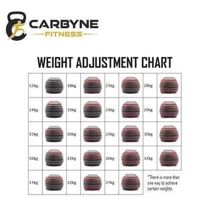 CARBYNE 32KG Adjustable Competition Kettlebell (1kg increments, from 12kg to 32kg)
